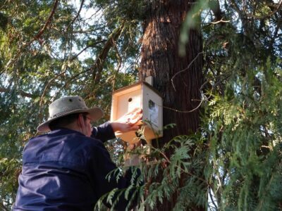 Jan-Eric bringt ein Eigenheim für Vögel an