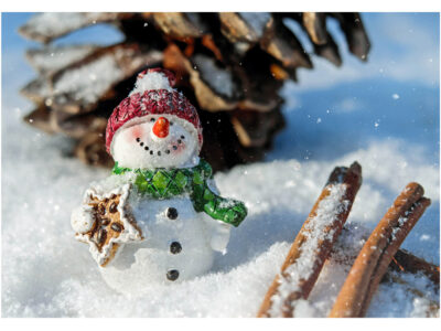 Weihnachtsgewinnspiel 2022 - Schneemann mit Zimtschnecken und Tannenzapfen