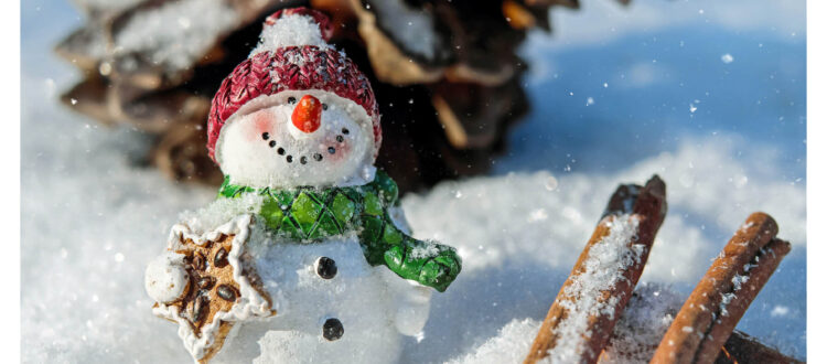 Weihnachtsgewinnspiel 2022 - Schneemann mit Zimtschnecken und Tannenzapfen